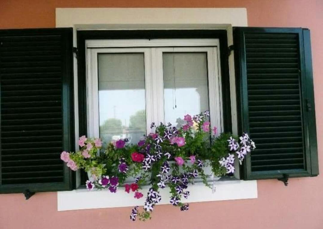 Lonelia'S Family Homes Lefkimmi  Dış mekan fotoğraf